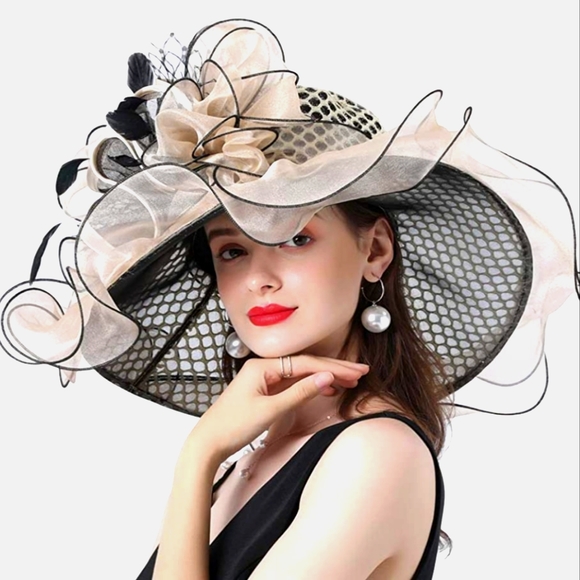 Stunning 2Pc Wide Brim Hat Detachable Fascinator Kentucky Derby, Equine,…